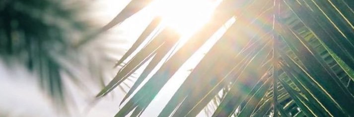 MarceSalas239's profile banner image