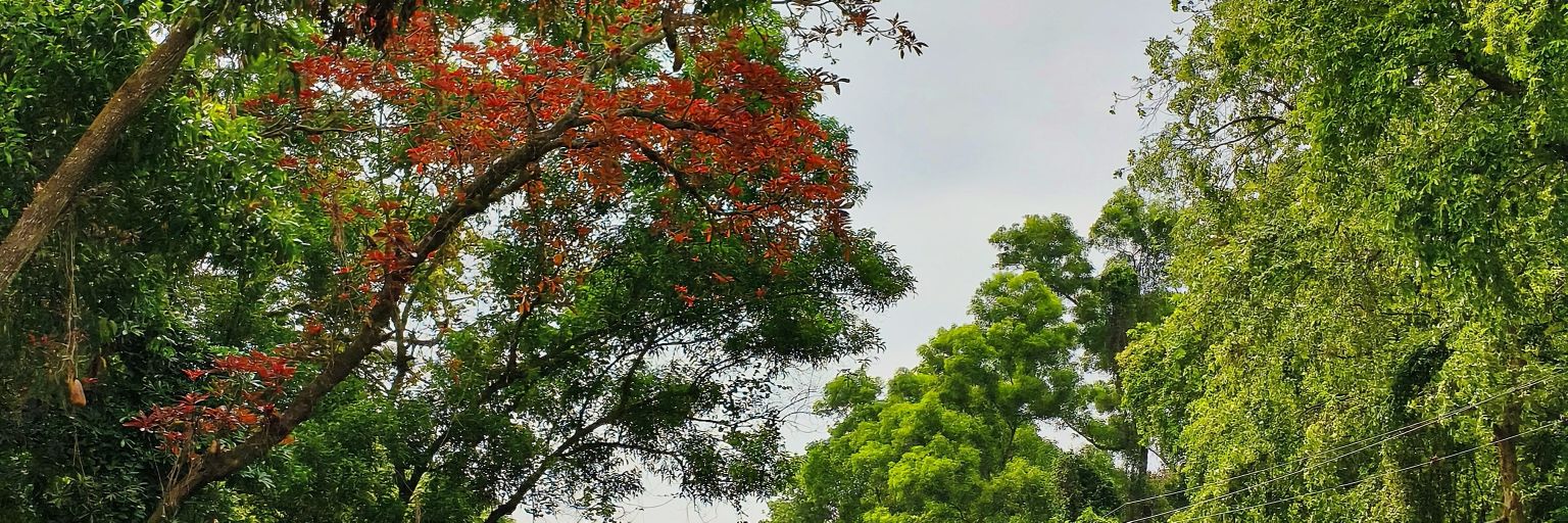 litonx8p's profile banner image