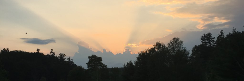 msroses's profile banner image
