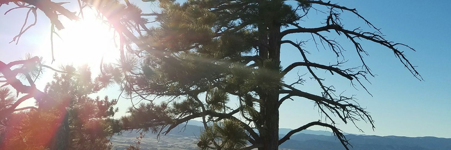 cheriscorner's profile banner image