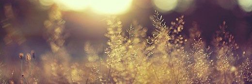 MariajoBarbera's profile banner image