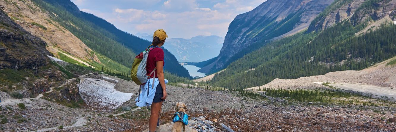 Alexis Lopez (she/her) 🌈 banner