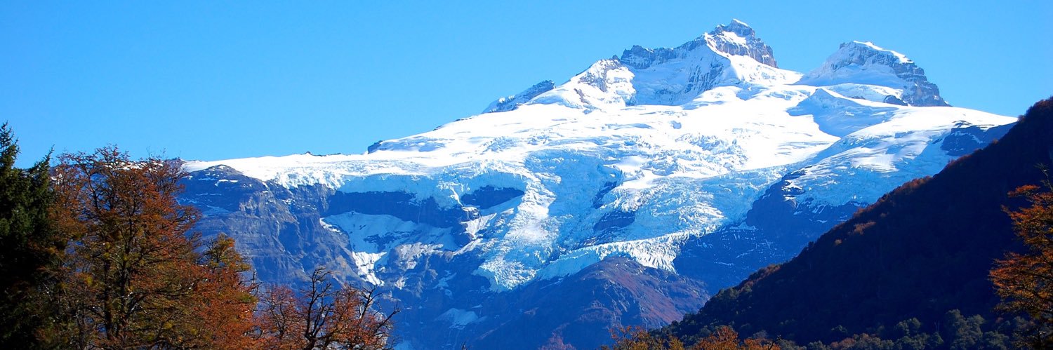 Court Marshall banner