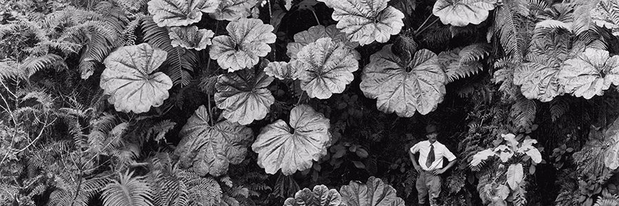 coraleena___'s profile banner image