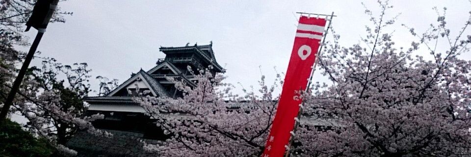 m_t___02's profile banner image