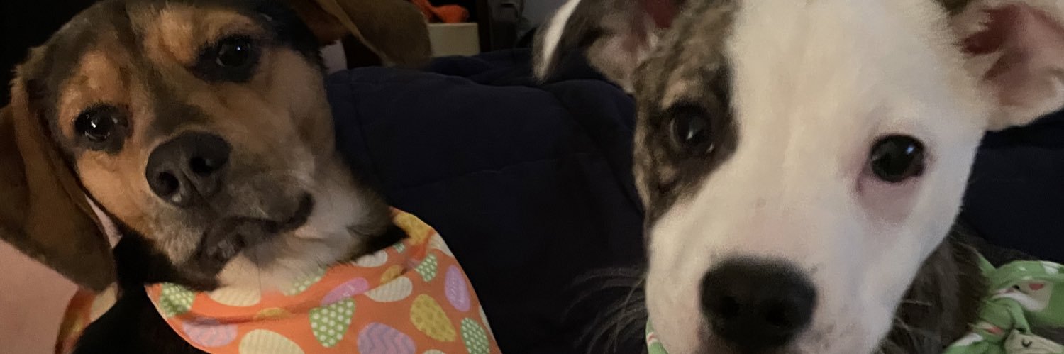 halessyea's profile banner image
