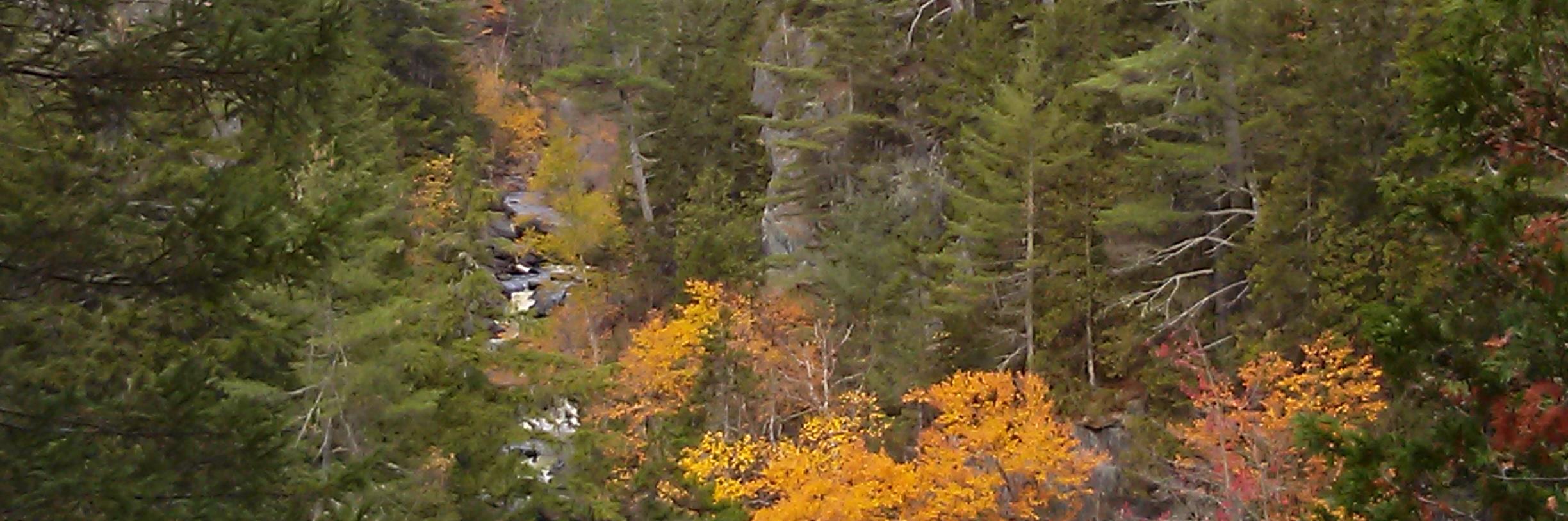 paulc2404a's profile banner image