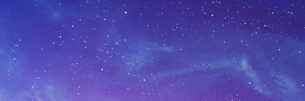 kayla 💜 banner