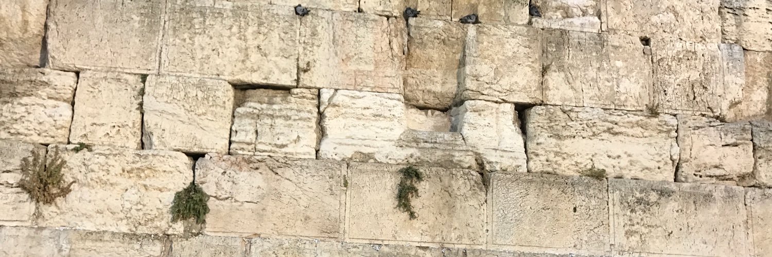 GMRShlichim's profile banner image