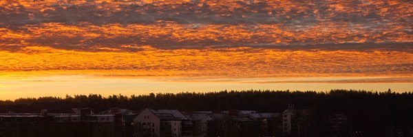martinhjartmyr Profile Banner
