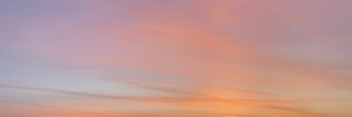 amandamayne banner