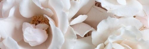 DaraNu_'s profile banner image