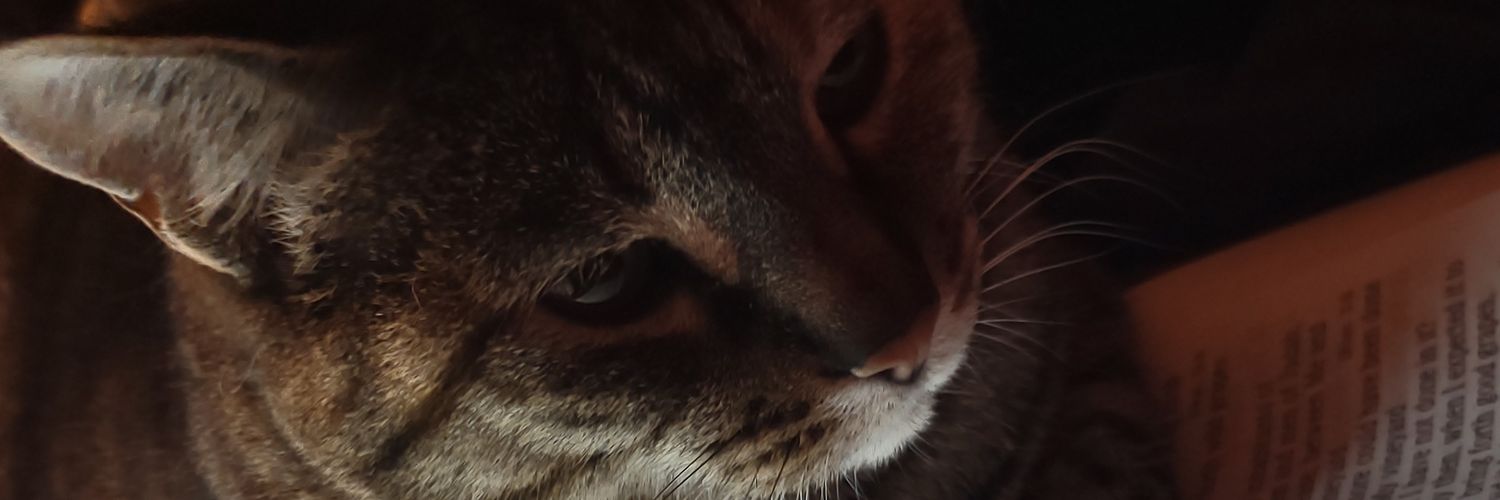 MantisMazins's profile banner image
