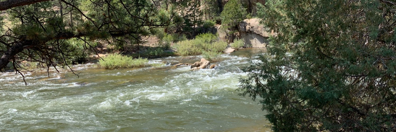 Deborah Politsch banner