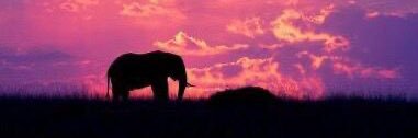 H_501h's profile banner image