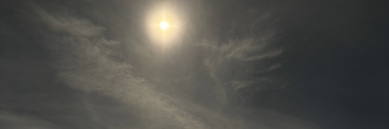 SwizzySwan's profile banner image
