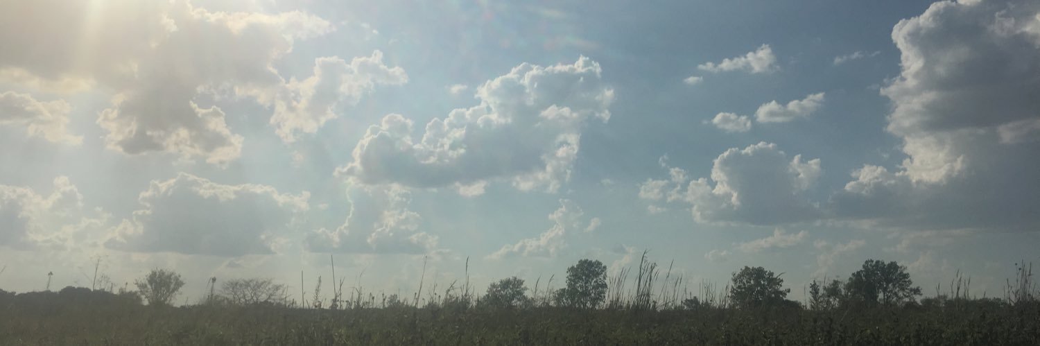 BabyMcLain's profile banner image