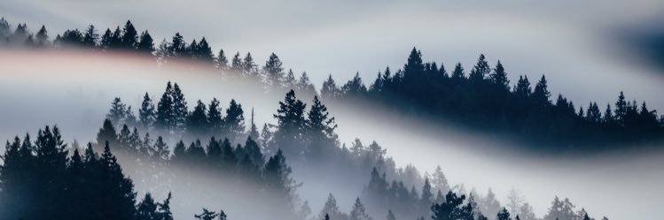ap3499's profile banner image