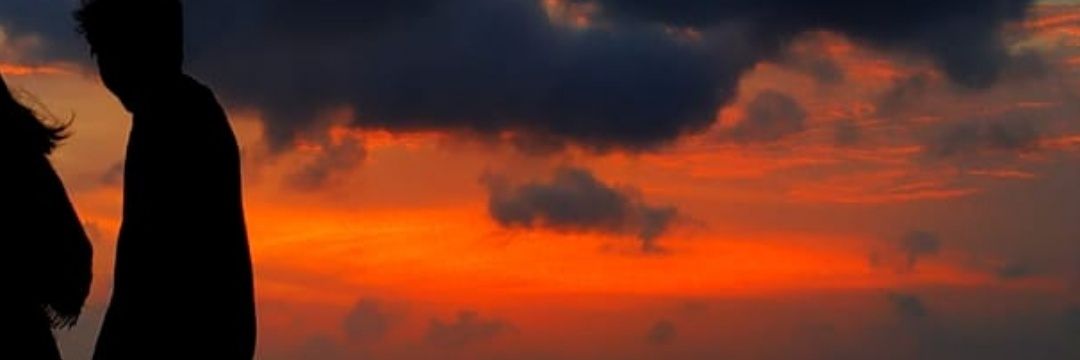 vincentiadeby's profile banner image