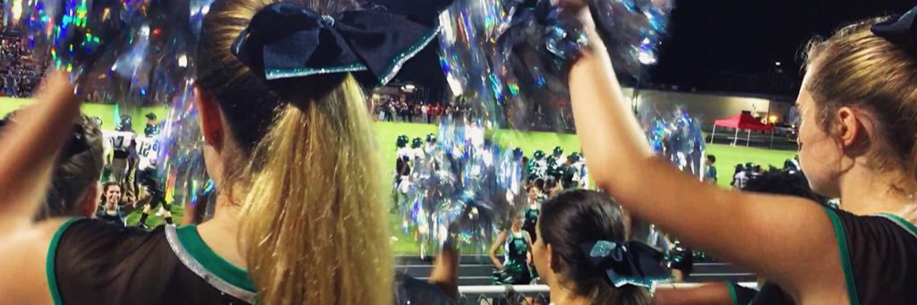 sphsdevilettes's profile banner image