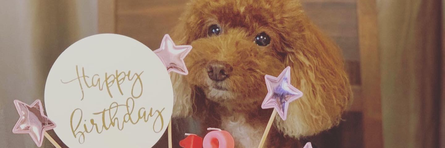 pekochan2014's profile banner image
