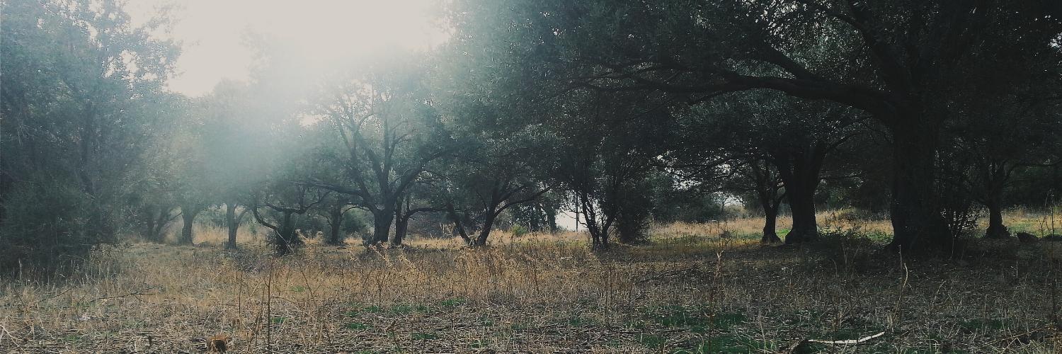 spontaneit_'s profile banner image