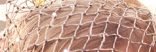 FastLilSwimmer's profile banner image