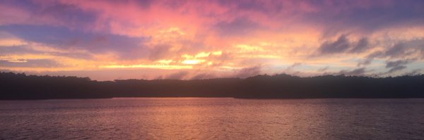 Aspen9497 Profile Banner