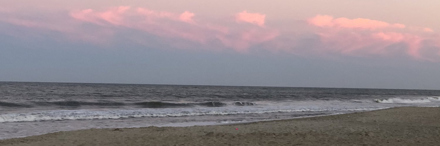 timberbeach's profile banner image