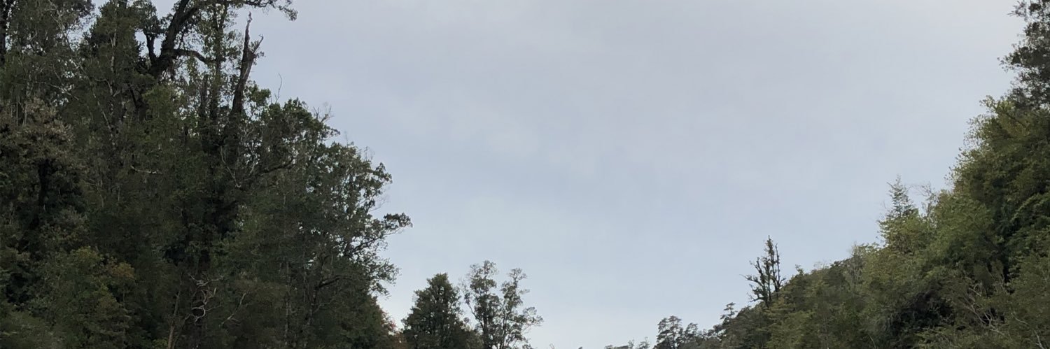 Chilotaa's profile banner image