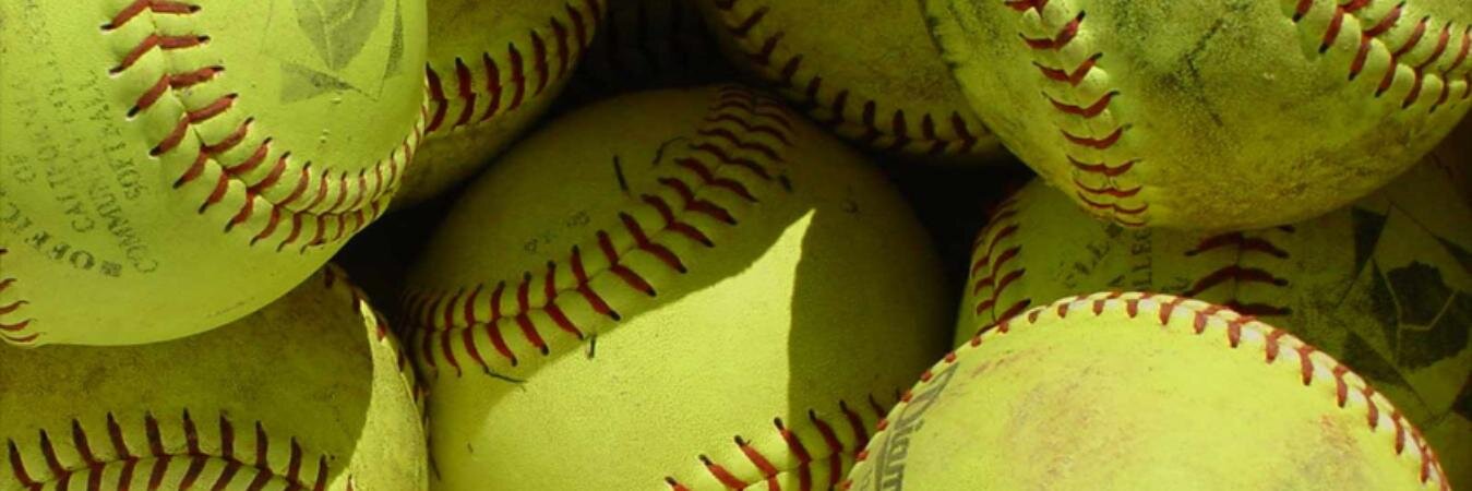 softballdish's profile banner image