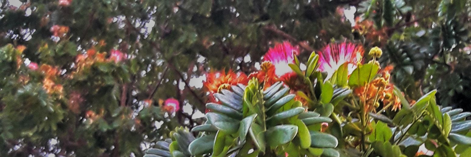 ExtraRoyceeeee's profile banner image