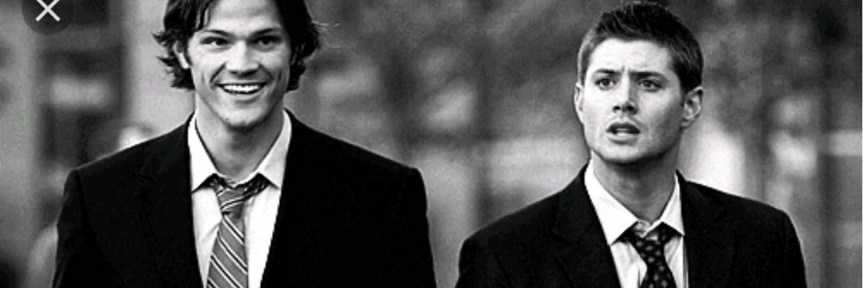 carolbs_'s profile banner image