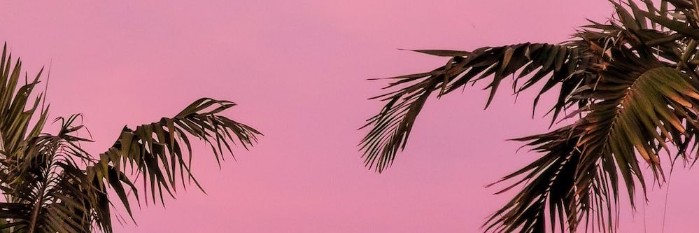 YasminBennett's profile banner image