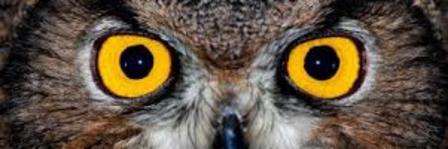 AntoniusSignus's profile banner image