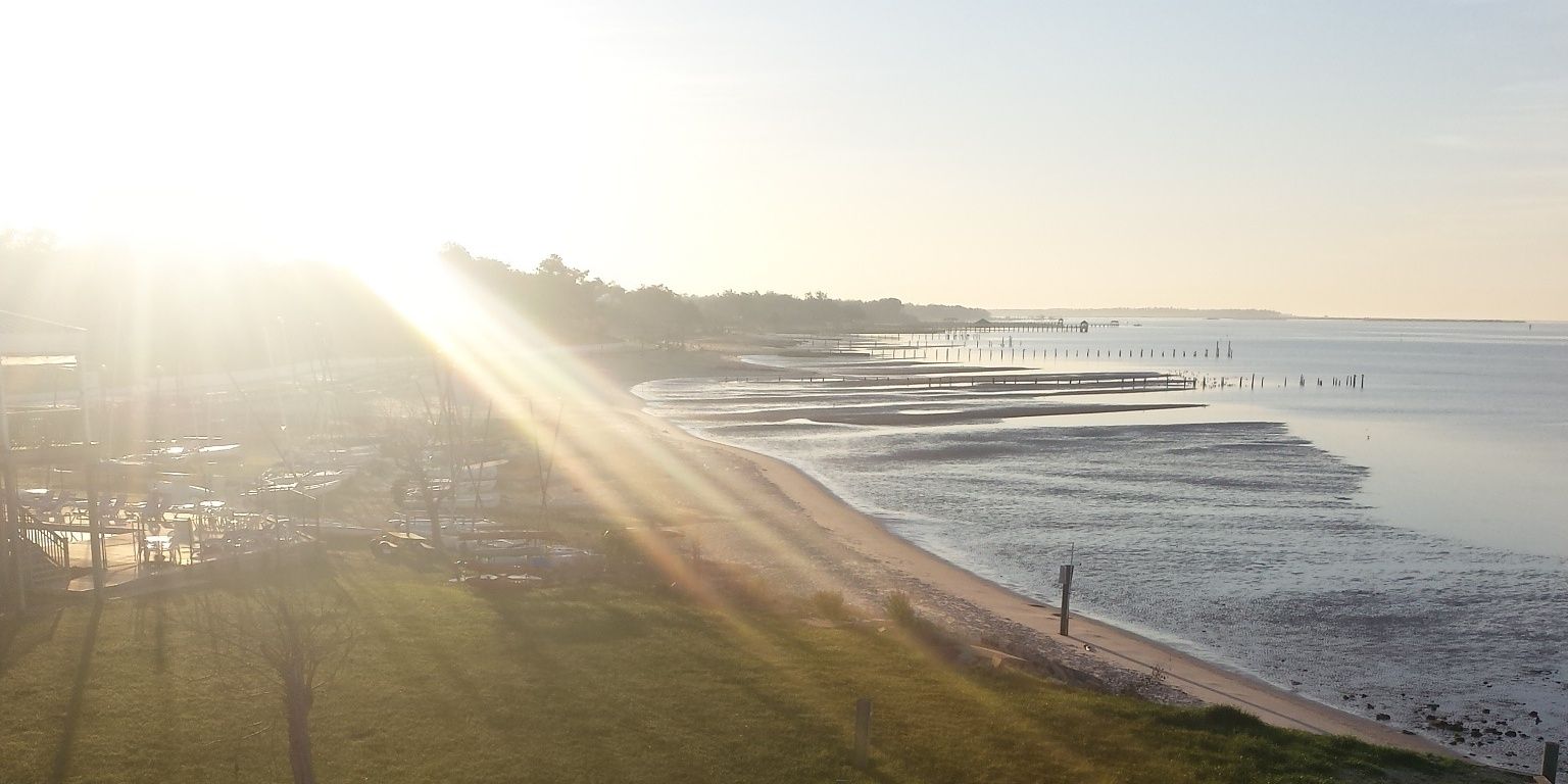 catpoo11's profile banner image