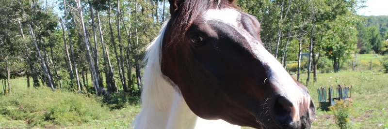 Lebtimus_Prime's profile banner image