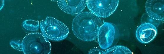 eastkentscience's profile banner image