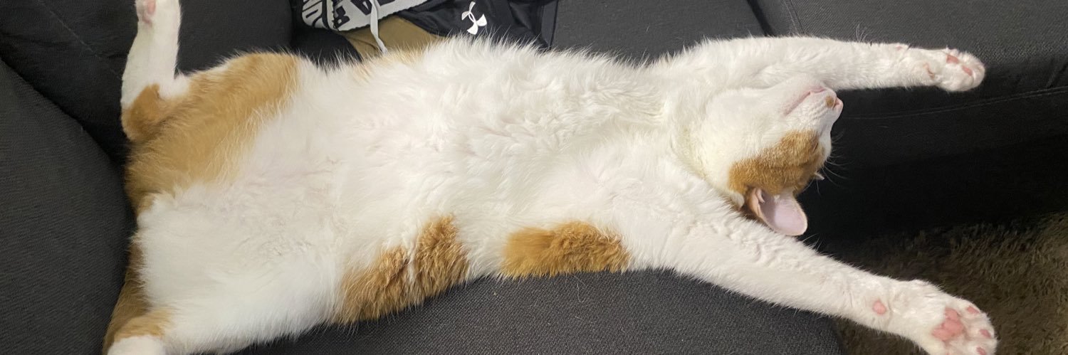neoppppy's profile banner image