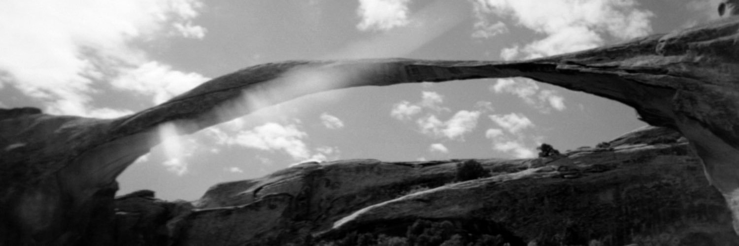 Emily Anderson Stern's banner
