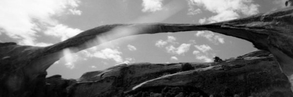 emilyreanderson Profile Banner