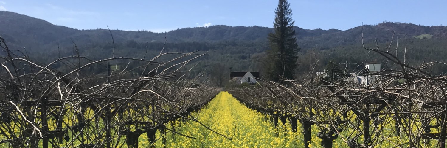 cmwines54's profile banner image