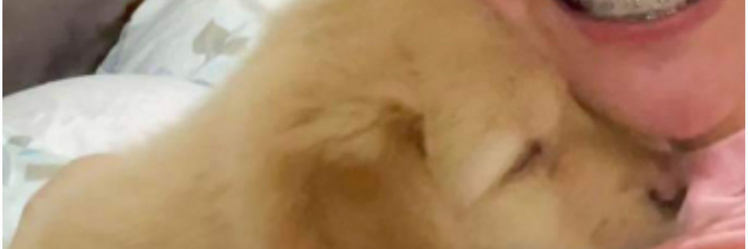 laarnstengco's profile banner image