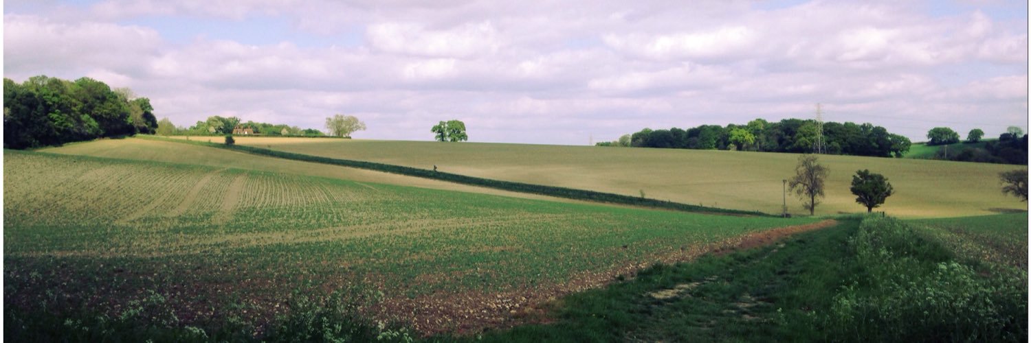 Cerimakes's profile banner image