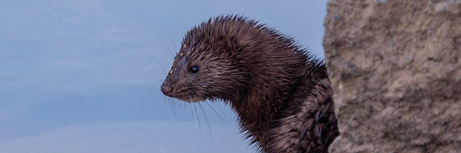 JarrettArnett's profile banner image