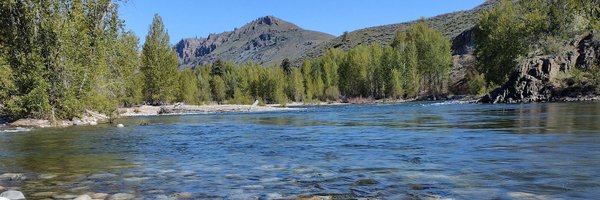 RoastyBaloneys Profile Banner