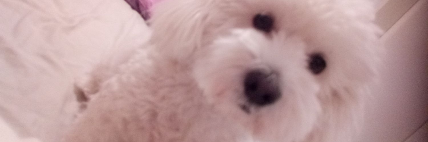 Belkis Figueroa banner