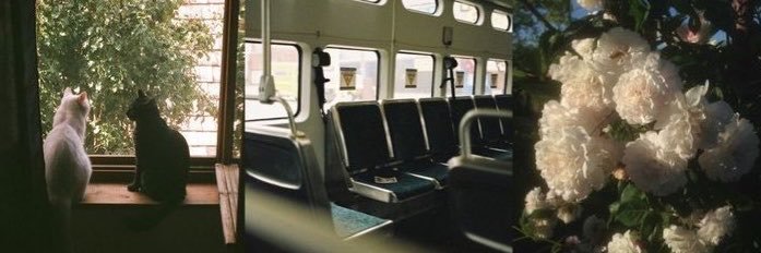 fadedwhim's profile banner image