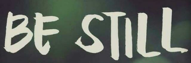 bntsylph1's profile banner image