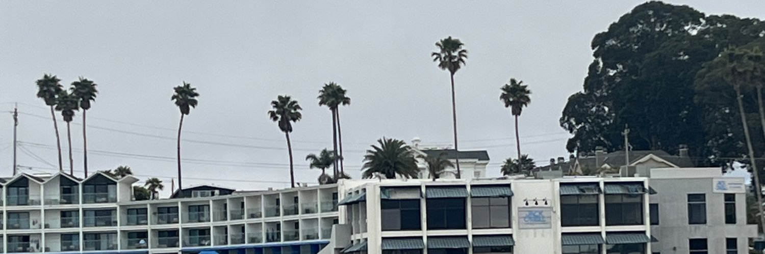 gracepillinini's profile banner image